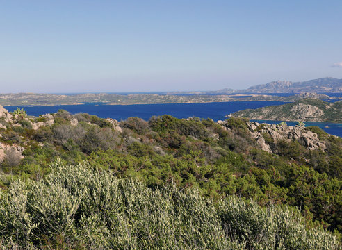 immagine estiva de l'isola de La Maddalena in Italia, tra macchia mediterranea e mare blu