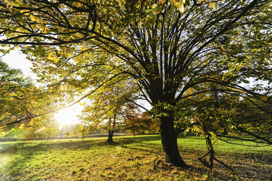Landschaftsgarten Harrachpark im Herbst, &Ouml;sterreich, NIeder&ouml;st