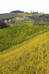 Fototapeta na wymiar Südsteirische Weinstrasse im Herbst, Österreich, Steiermark, S