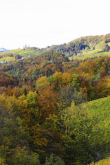 Fototapeta premium Südsteirische Weinstrasse im Herbst, Österreich, Steiermark, S