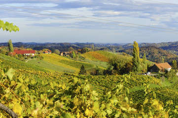 Fototapeta na wymiar Südsteirische Weinstrasse im Herbst, Österreich, Steiermark, S