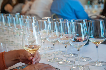 Wine degustaion