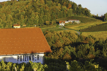 Südsteirische Weinstrasse im Herbst, Weingut Potzinger, Österr