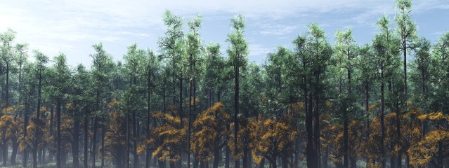 Panorama of the forest in the fog, 3D rendering.