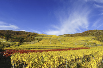 Weltkulturerbe Wachau im Herbst, Österreich, NIederösterreich,