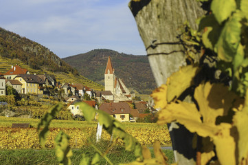 Weltkulturerbe Wachau im Herbst, Österreich, NIederösterreich,