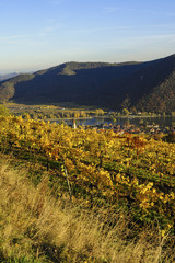 Weltkulturerbe Wachau im Herbst, Österreich, NIederösterreich,