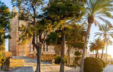 Fototapeta premium Majorca cathedral
