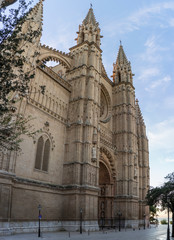 Fototapeta premium Majorca cathedral