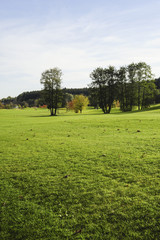 Fototapeta premium Bad Waltersdorf, Österreich, Steiermark, Divers
