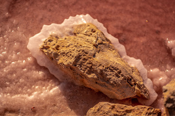 sal formation on rock