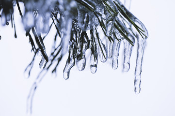 Eisregen mit Eisüberzug, gefrierender Regen, Österreich, NIede