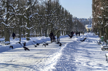 Fototapete bei efototapeten.de bestellen   