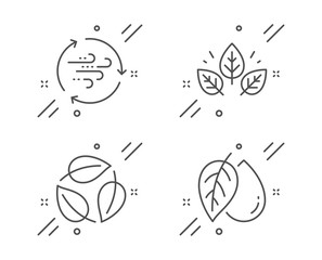 Leaves, Wind energy and Organic tested line icons set. Mineral oil sign. Nature leaf, Breeze power, Bio ingredients. Organic tested. Nature set. Line leaves outline icon. Vector