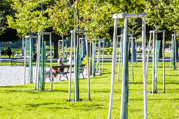 Fototapete bei efototapeten.de bestellen   