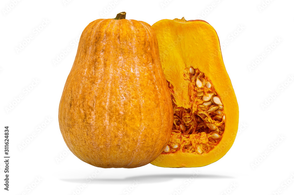 Poster squash, cross-section. 3d rendering with realistic texture
