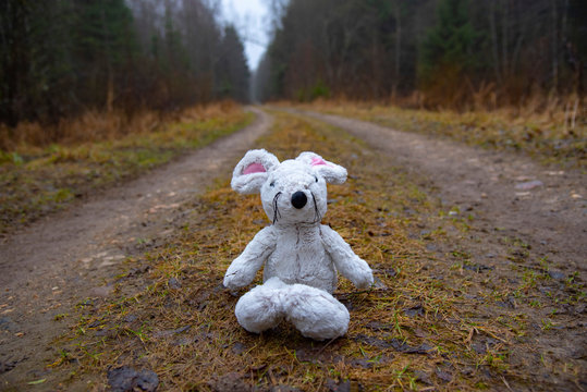 Toy soft mouse sits on a country road wet