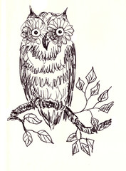 Fototapeta premium black and white drawing of an owl on a branch on a white background
