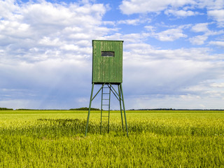 Hochstand, Österreich, Burgenland, Nordburgenland, Parndorf