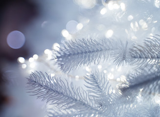 snow on the tree © Daria