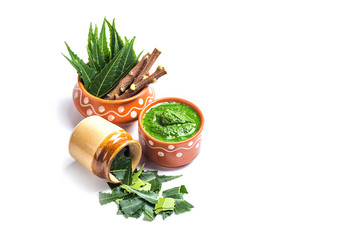 Medicinal Neem leaves with paste and twigs on white background