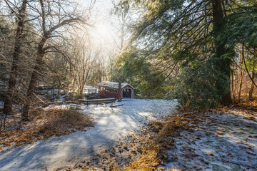 Obraz na płótnie Canvas Winter In Woods