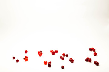 cranberry isolated white background