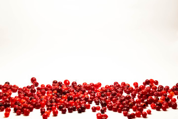 cranberry isolated white background