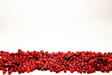 cranberry isolated white background