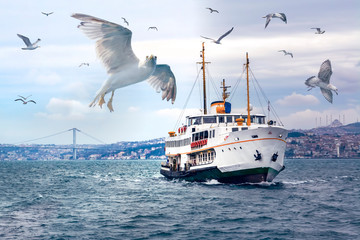 Muslim architecture and water transport in Turkey - Beautiful View touristic landmarks from sea...