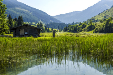 Fototapeta na wymiar Teich mit Schilf in einer Hügellandschaft, Österreich, Tirol