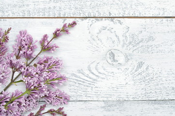 Lilac and white lilac branches on a gray wooden background