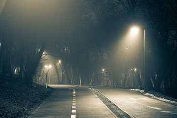 Fog in the night park, autumn winter landscape, cold weather, black and white