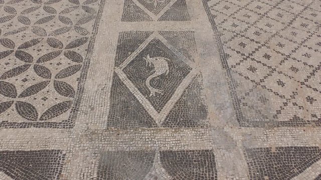 Roman Baths in Isthmi, amazing mosaics!