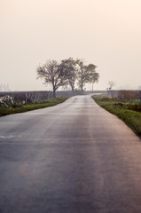 Einsame Landstrasse, Österreich, Burgenland, Neusiedlersee Seew