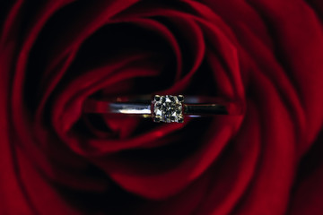 Close-up of a red rose and a golden ring with a pebble