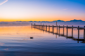 Ente mit Steg im Chiemsee am winterlichen Sonnenaufgang