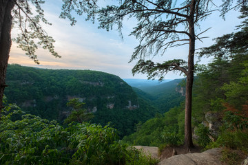 Cloudland Canyon State Park, Georgia, USA