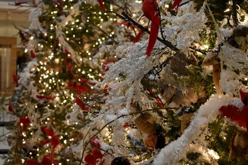 Christmas decorations on tree