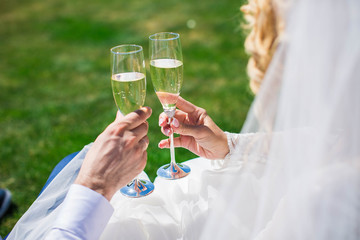 bride and groom clink glasses with champagne. sitting on the grass