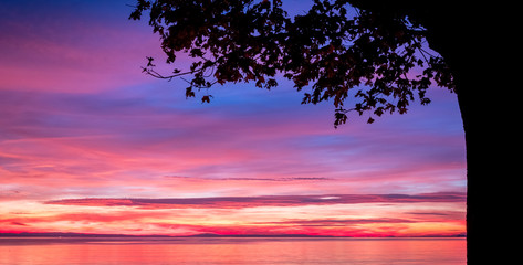 dark violet clouds with orange sun light and pink light in wonderful twilight sky. Silhouettes of trees on the background of the lake Bodensee in Lindau