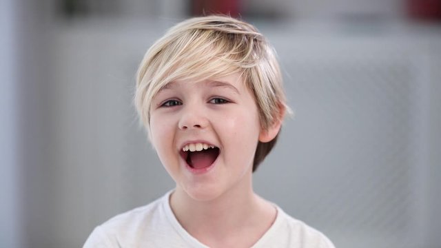 portrait of cute young blonde boy, smiling kid
