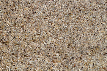 osb - oriented strand board or qsb - quаlity strаnd bоard, chipboard texture or chipboard background with copy space for text or image.