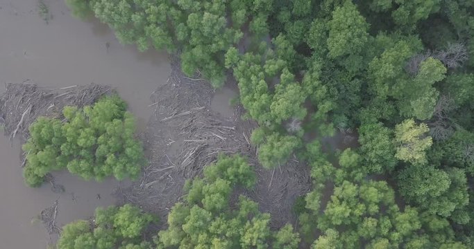 flooding depris