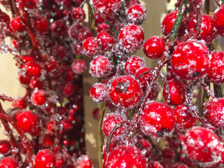 New Year's decor. Decorations for Christmas. Tree decorations. Wreath of viburnum. Christmas berries. Christmas viburnum.