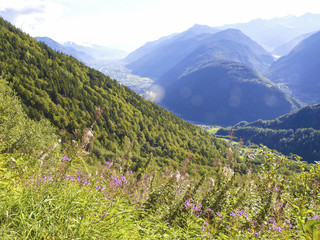 Fototapete bei efototapeten.de bestellen   