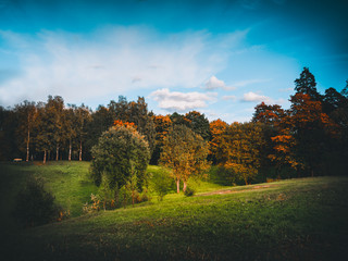 Autumn trees on a green hill. Abstract natural background.