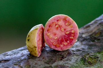 Guayaba in Costa Rica
