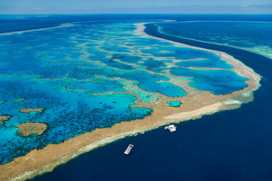 Great Barrier Reef.. Australia