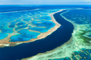 Great Barrier Reef.. Australia - obrazy, fototapety, plakaty